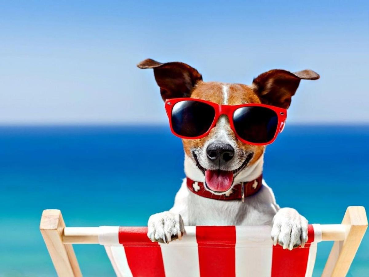 Fabulous 2 Bedroom Dog Friendly Chalet 5 Min Walk To Beach, Nr Gt Yarmouth & Norfolk Broads Scratby Eksteriør bilde